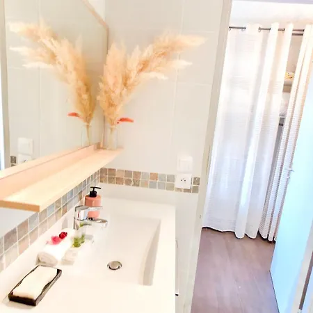 Apartment Renove - Clim - Piscine - Et Commerces *